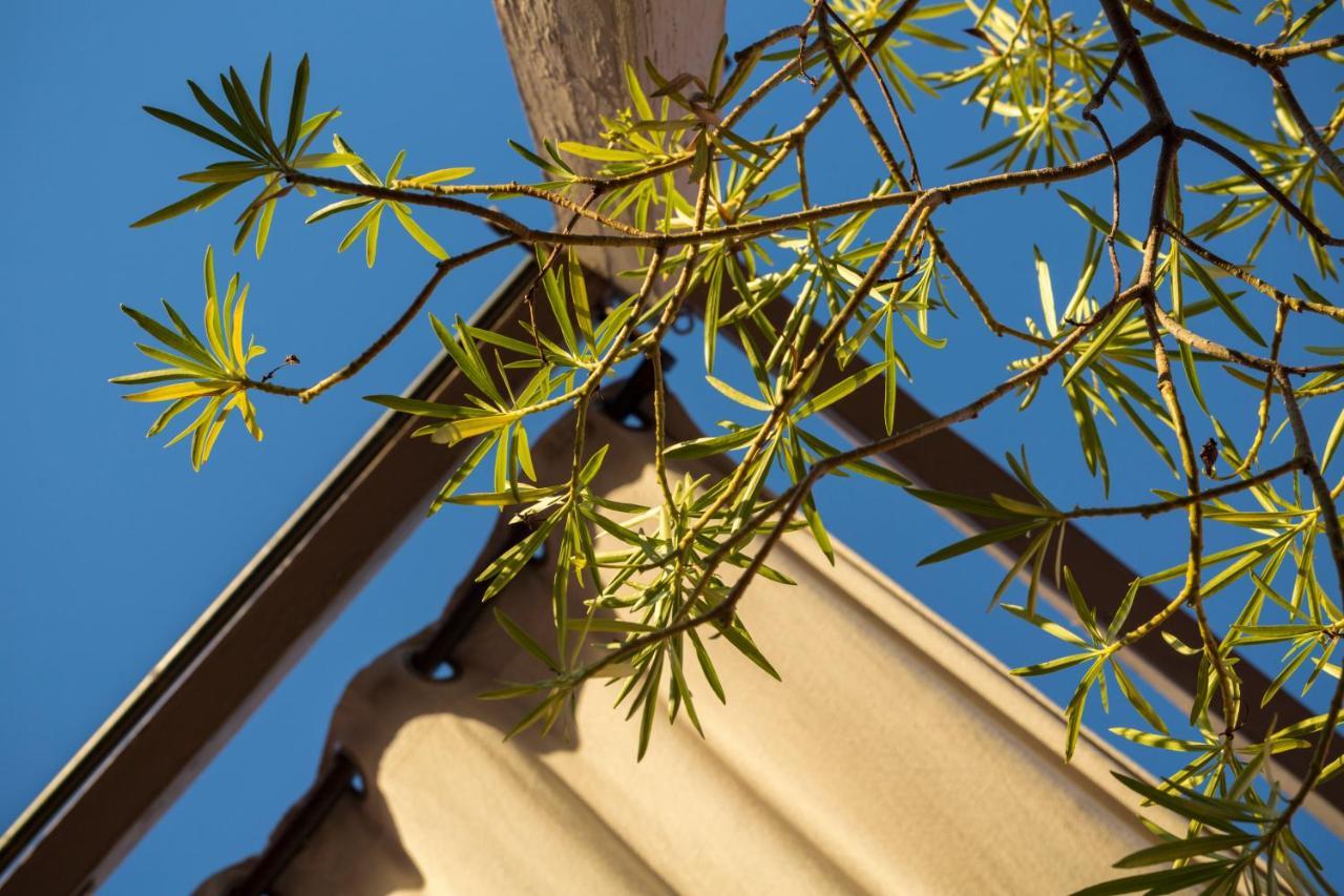 Riad El Maktoub Marrakesh Exteriör bild
